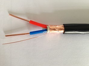 ZR-KVVP2-16×2.5 阻燃控制屏蔽電纜 國標品質，廠價直銷的專業之選